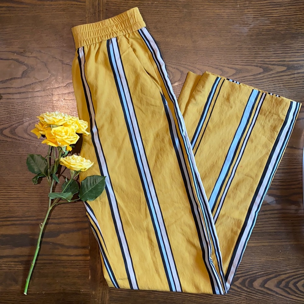 EUC Zara pants